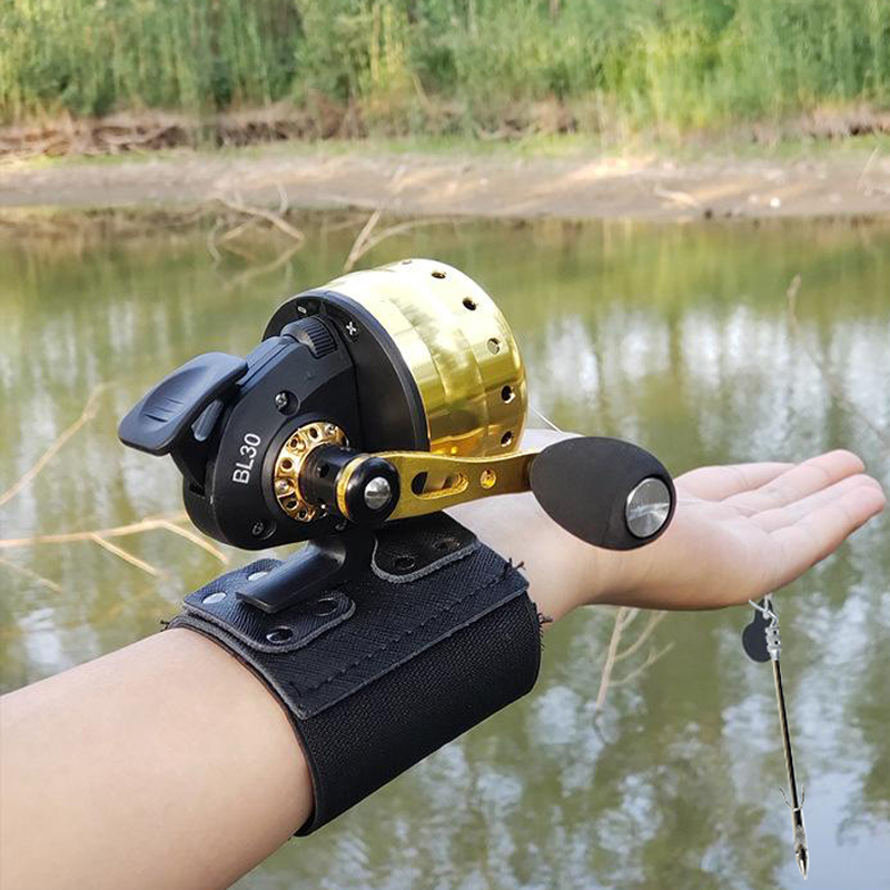 Closed Reel BL30 Fishing 4+1BB - Fishing Line Spool review and price